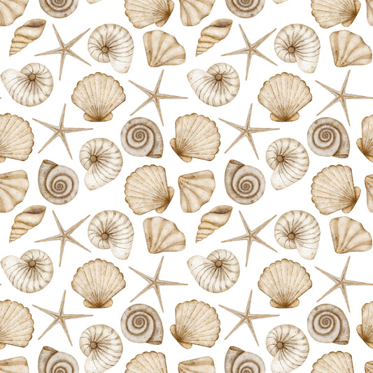 Papel transfer 12