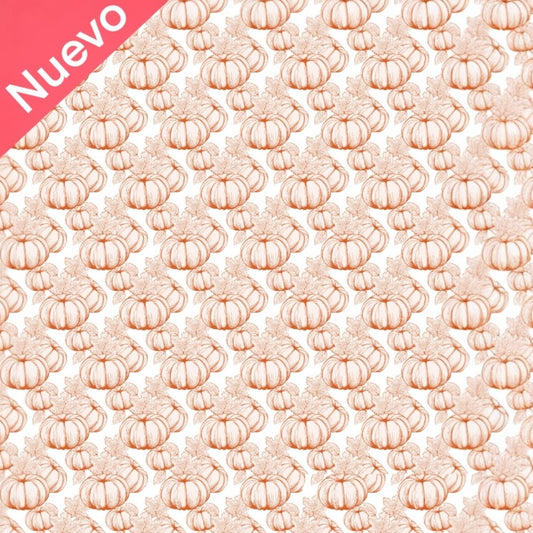 Papel transfer 25