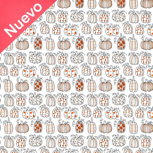 Papel transfer 22
